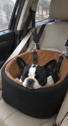Alicia P.'s dog riding in the CozyCopilot seat